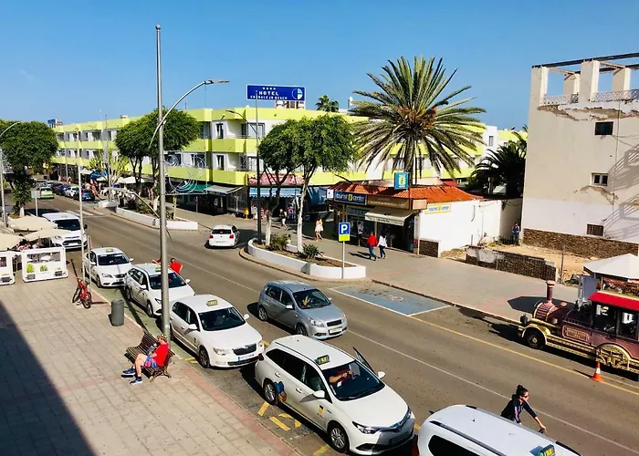 Golden Wave * 科拉雷侯